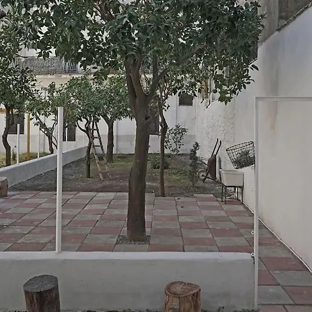 Apartment Loft In The Centre Of